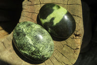 Polished Leopard Stone Palm Stones x 12 From Nyanga, Zimbabwe