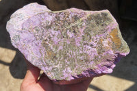 Natural Stichtite Specimen x 1 From Barberton, South Africa