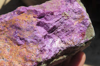 Natural Stichtite Specimen x 1 From Barberton, South Africa