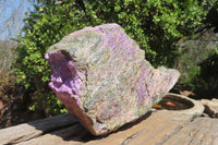 Natural Stichtite Specimen x 1 From Barberton, South Africa