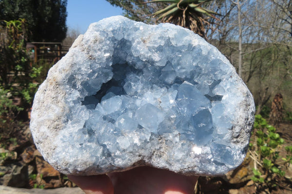 Natural Celestite Geode Specimen x 1 From Sakoany, Madagascar