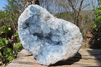 Natural Celestite Geode Specimen x 1 From Sakoany, Madagascar