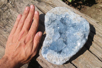 Natural Celestite Geode Specimen x 1 From Sakoany, Madagascar