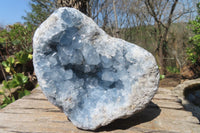 Natural Celestite Geode Specimen x 1 From Sakoany, Madagascar