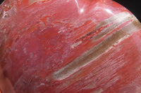 Polished Red Podocarpus Petrified Wood Hearts x 3 From Madagascar