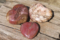 Polished Red Podocarpus Petrified Wood Hearts x 3 From Madagascar