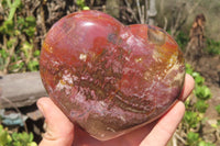 Polished Red Podocarpus Petrified Wood Hearts x 3 From Madagascar