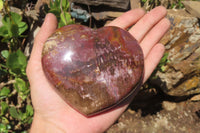 Polished Red Podocarpus Petrified Wood Hearts x 3 From Madagascar