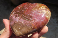 Polished Red Podocarpus Petrified Wood Hearts x 3 From Madagascar