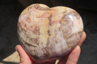 Polished Red Podocarpus Petrified Wood Hearts x 3 From Madagascar