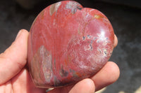 Polished Red Podocarpus Petrified Wood Hearts x 3 From Madagascar