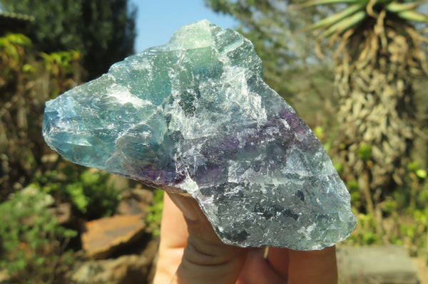 Natural Watermelon Fluorite Cobbed Specimens x 6 From Uis, Namibia