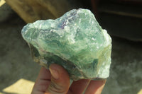 Natural Watermelon Fluorite Cobbed Specimens x 6 From Uis, Namibia