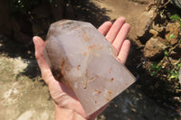 Polished Smokey Window Quartz Sceptre Crystal x 1 From Madagascar