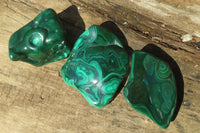 Polished Flower Banded Malachite Free Forms x 6 From Congo