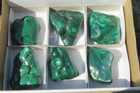 Polished Flower Banded Malachite Free Forms x 6 From Congo