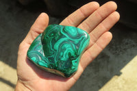 Polished Flower Banded Malachite Free Forms x 6 From Congo