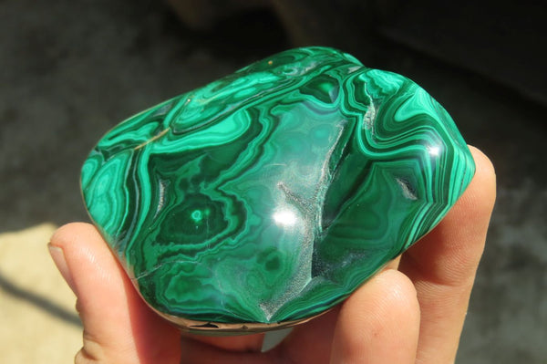 Polished Flower Banded Malachite Free Forms x 6 From Congo