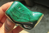 Polished Flower Banded Malachite Free Forms x 6 From Congo