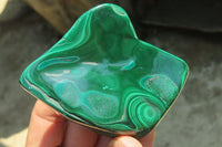 Polished Flower Banded Malachite Free Forms x 6 From Congo