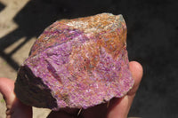 Natural Stichtite Cobbed Specimens x 3 From Barberton, South Africa