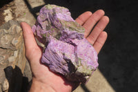 Natural Stichtite Cobbed Specimens x 3 From Barberton, South Africa