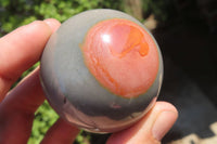 Polished Polychrome Jasper Spheres x 6 From Madagascar