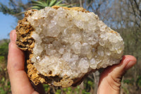 Natural Limonite Quartz Specimens x 5 From Zambia