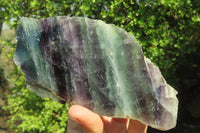 Polished Watermelon Fluorite Slices x 3 From Uis, Namibia