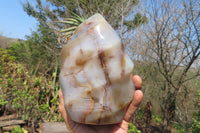 Polished Banded Agate Flame Sculpture x 1 From Madagascar