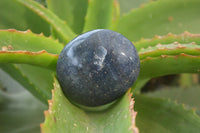 Polished Lazulite Palm Stones x 12 From Madagascar