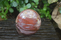 Polished Red Podocarpus Petrified Wood Standing Free Forms x 3 From Madagascar