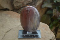 Polished Red Podocarpus Petrified Wood Standing Free Forms x 3 From Madagascar