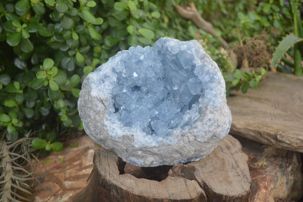 Natural Celestite Geode Specimen x 1 From Sakoany, Madagascar