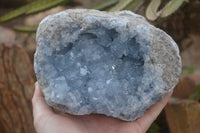 Natural Celestite Geode Specimen x 1 From Sakoany, Madagascar