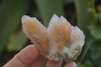 Natural Ametrine Spirit Quartz Clusters x 12 From Boekenhouthoek, South Africa