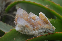 Natural Ametrine Spirit Quartz Clusters x 12 From Boekenhouthoek, South Africa