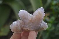 Natural Ametrine Spirit Quartz Clusters x 12 From Boekenhouthoek, South Africa