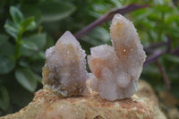 Natural Ametrine Spirit Quartz Clusters x 12 From Boekenhouthoek, South Africa