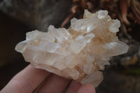 Natural Clear Quartz Crystal Clusters x 12 From Madagascar