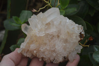 Natural Clear Quartz Crystal Clusters x 12 From Madagascar