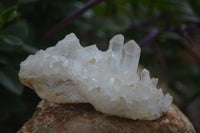 Natural Clear Quartz Crystal Clusters x 12 From Madagascar