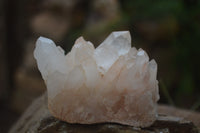 Natural Clear Quartz Crystal Clusters x 12 From Madagascar