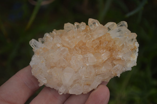 Natural Clear Quartz Crystal Clusters x 12 From Madagascar