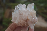 Natural Clear Quartz Crystal Clusters x 12 From Madagascar