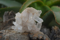 Natural Clear Quartz Crystal Clusters x 12 From Madagascar