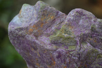 Natural Stichtite Cobbed Specimens x 2 From Barberton, South Africa