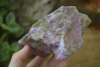 Natural Stichtite Cobbed Specimens x 2 From Barberton, South Africa