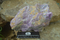 Natural Stichtite Cobbed Specimens x 2 From Barberton, South Africa