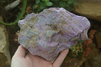 Natural Stichtite Cobbed Specimens x 2 From Barberton, South Africa